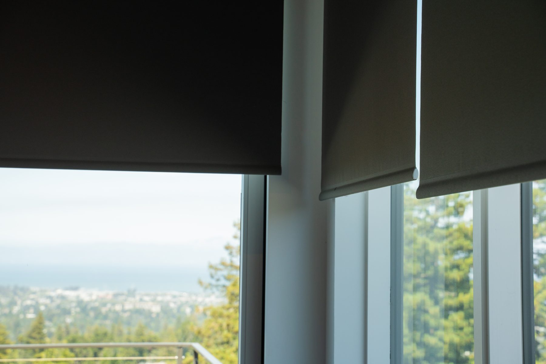 Blackout and solar shades on a wall of windows